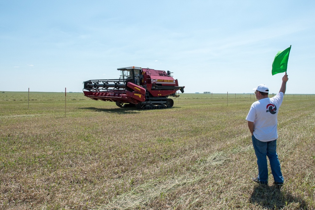 И он взмахнул рукой...