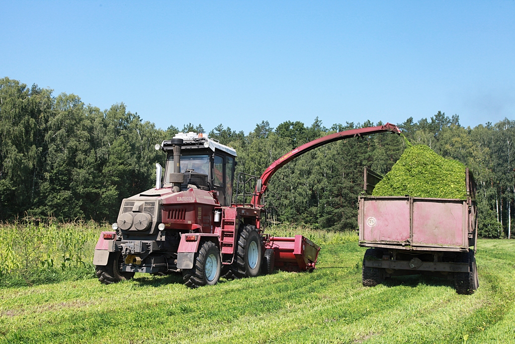 Уборка кормов