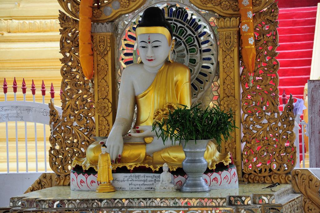 Фото Сергея Коваля