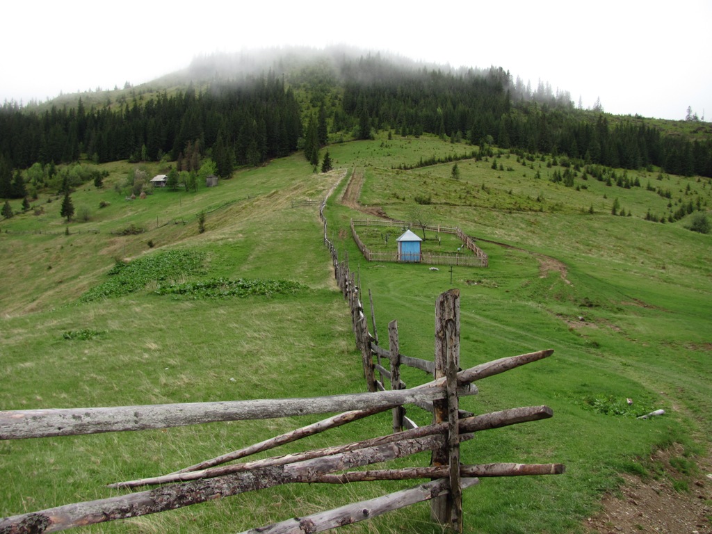 Фото Вячеслава Сёмы
