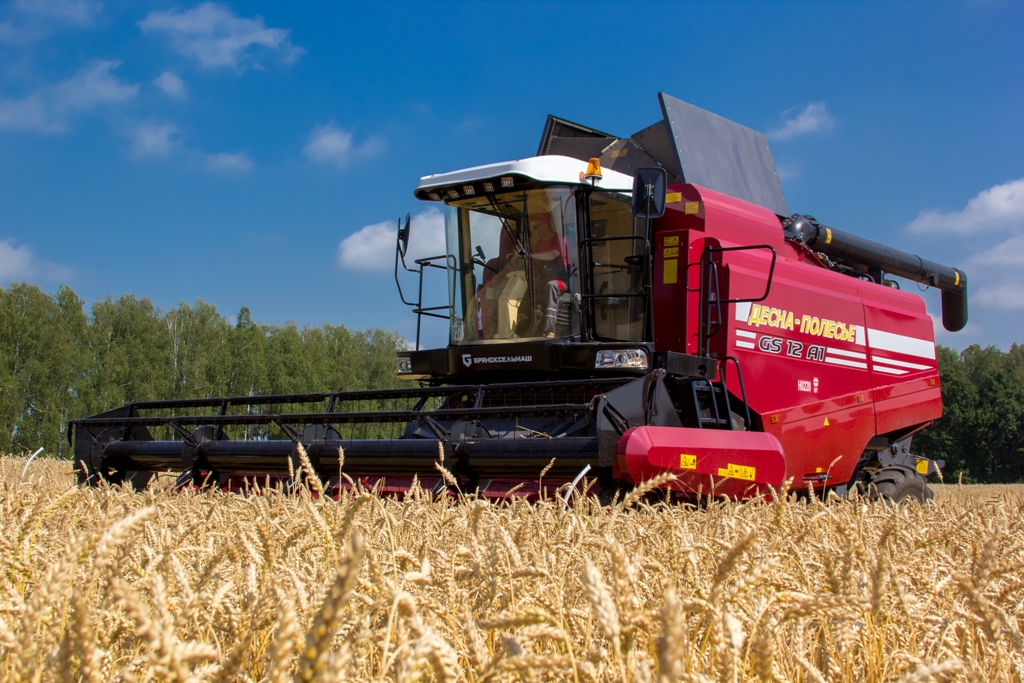 ''Десна-Полесье''