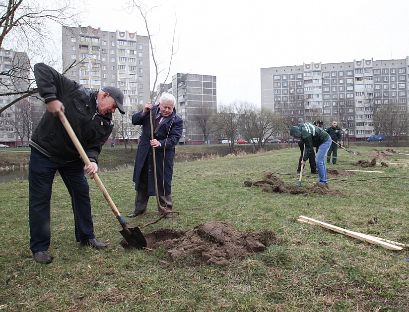 Пример подают ветераны