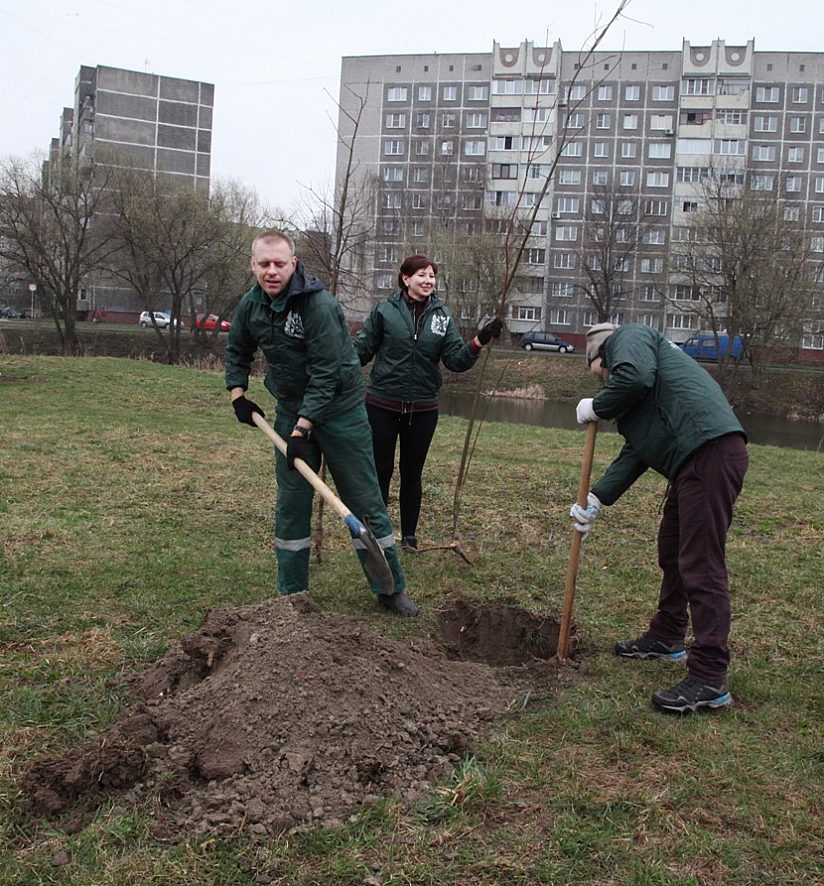 Зесь будет сквер