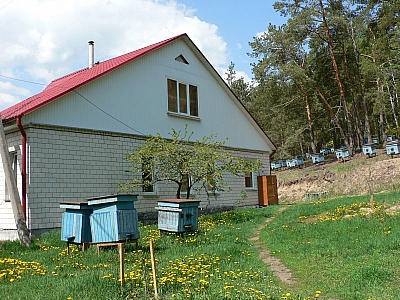 Домик №4
