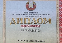 Эхо события: «Гомсельмаш» награжден за участие в выставке «Белагро»