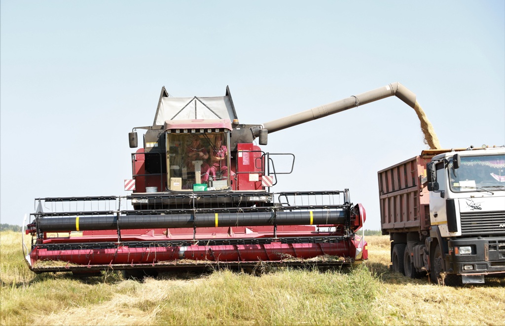 2021_07_27_Юбилейный - жатва 2.jpg