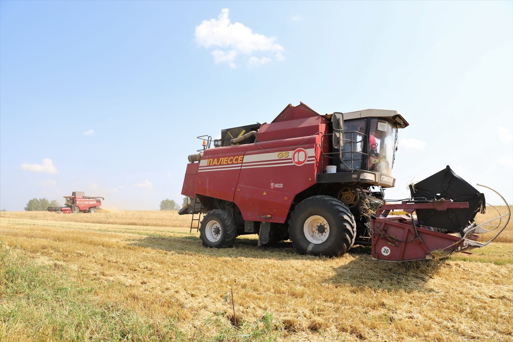 2021_07_27_Юбилейный - жатва 1.jpg