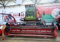 Неподдельный интерес к гомельскому «Палессю» проявили в Ставрополе