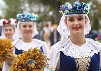 Представители «Гомсельмаша» примут участие в областных «Дожинках»