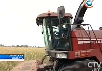 Телеканал СТВ снял сюжет о кормозаготовительном комплексе КВК-8060