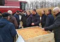 Отличник на кукурузе: демопоказ зерноуборочного комбайна GR700