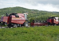 Комбайны «Амур-Палессе» пополнили парк хозяйств Зейского района