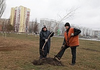 Промышленный район нуждается в защите со стороны… деревьев