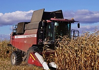 Пастаўка ротарных збожжаўборачных камбайнаў GOMSELMASH GR700 ў Расію